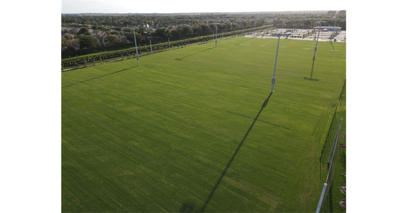 New Fields